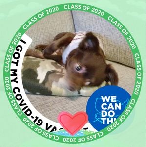 Meet your Posher, Kathy